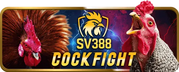 Ưu đãi nạp lại và hoàn trả 98win58 win